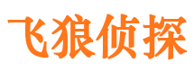 金牛市私家侦探